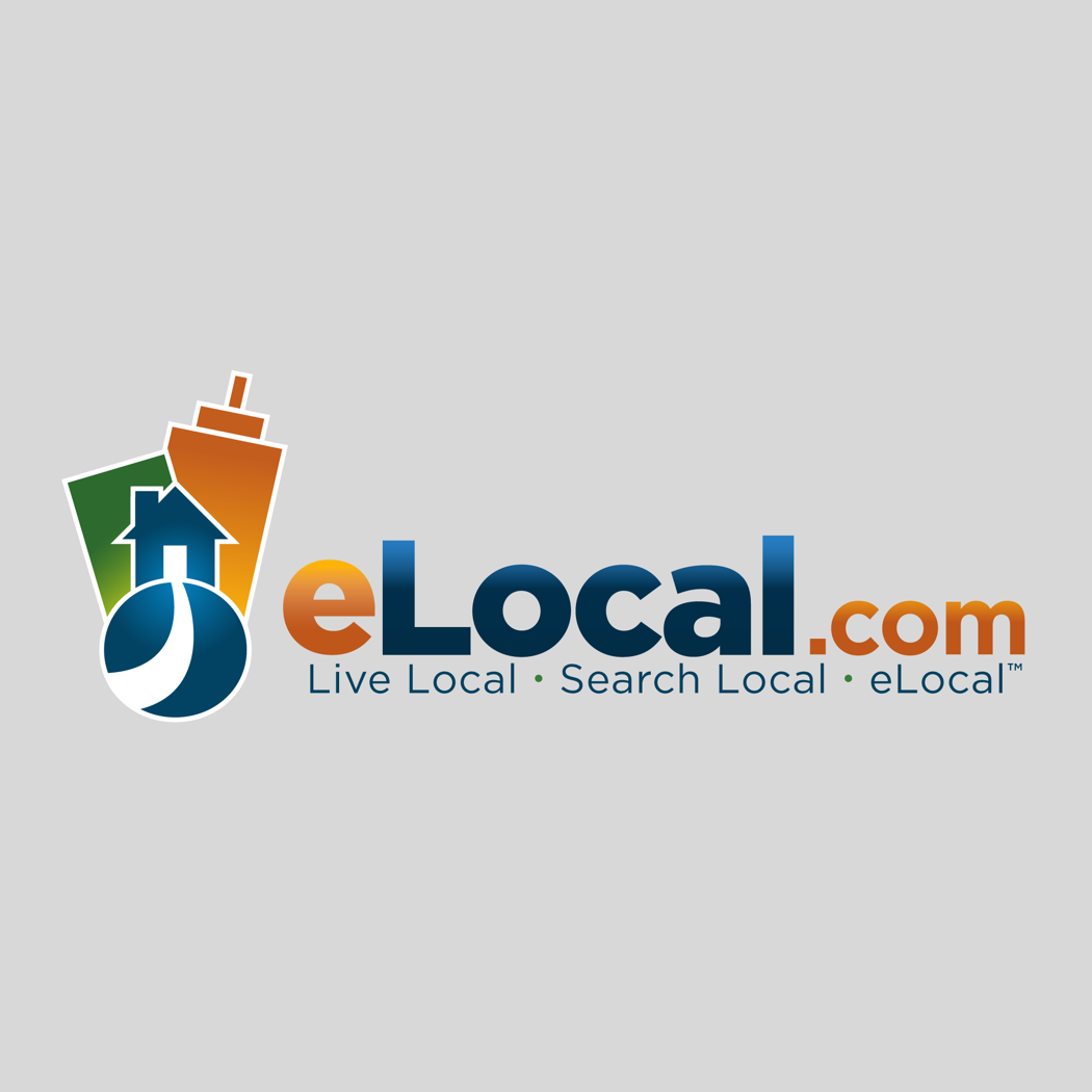 eLocal in 2008